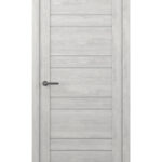 Dublin. Кипарис нордик